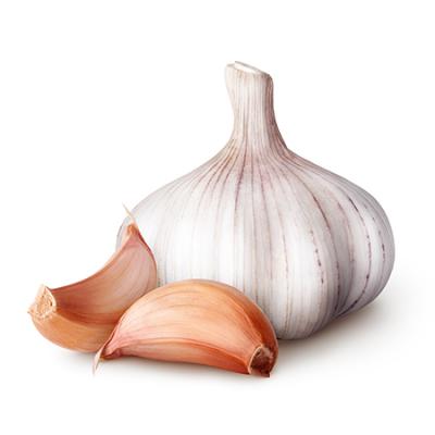 Garlic in traditional medicine